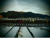 Maracaná Rio de Janiero